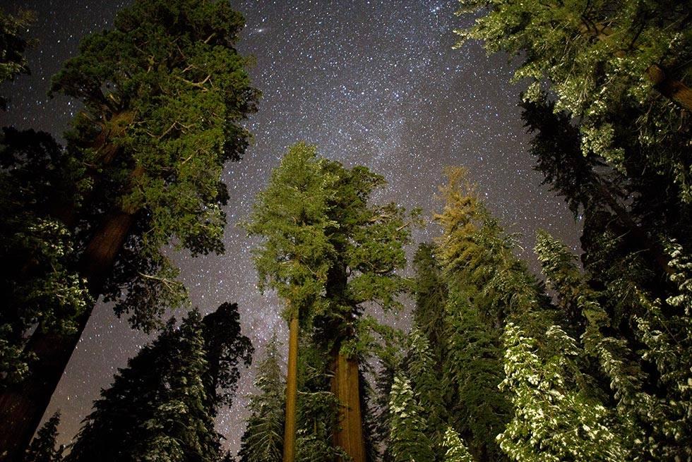 John Muir Lodge Hume Екстер'єр фото