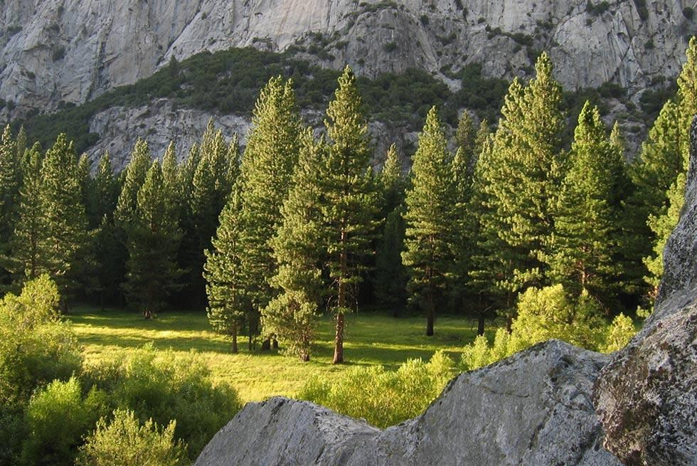 John Muir Lodge Hume Екстер'єр фото