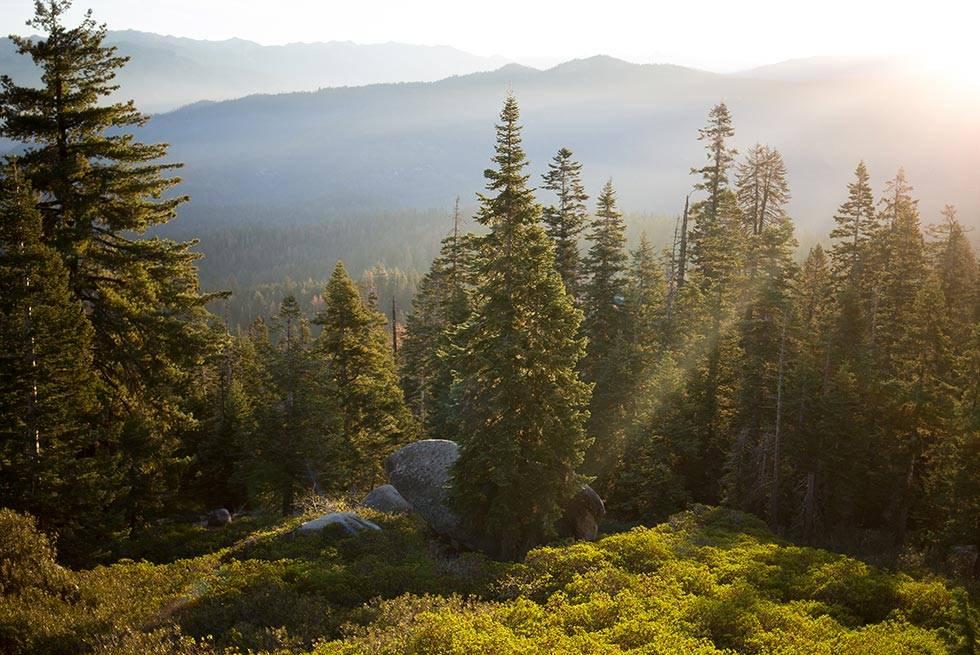 John Muir Lodge Hume Екстер'єр фото