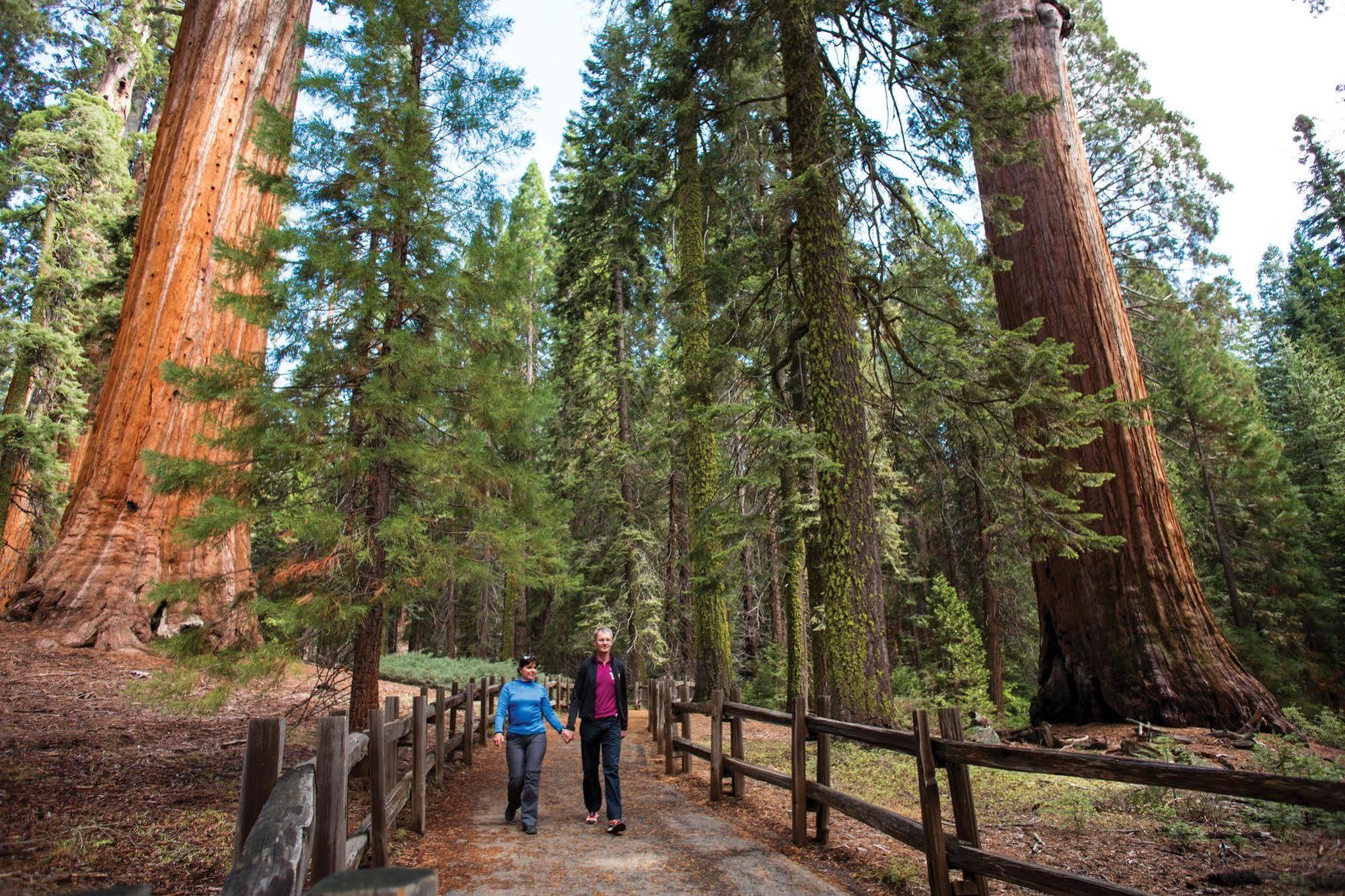 John Muir Lodge Hume Екстер'єр фото